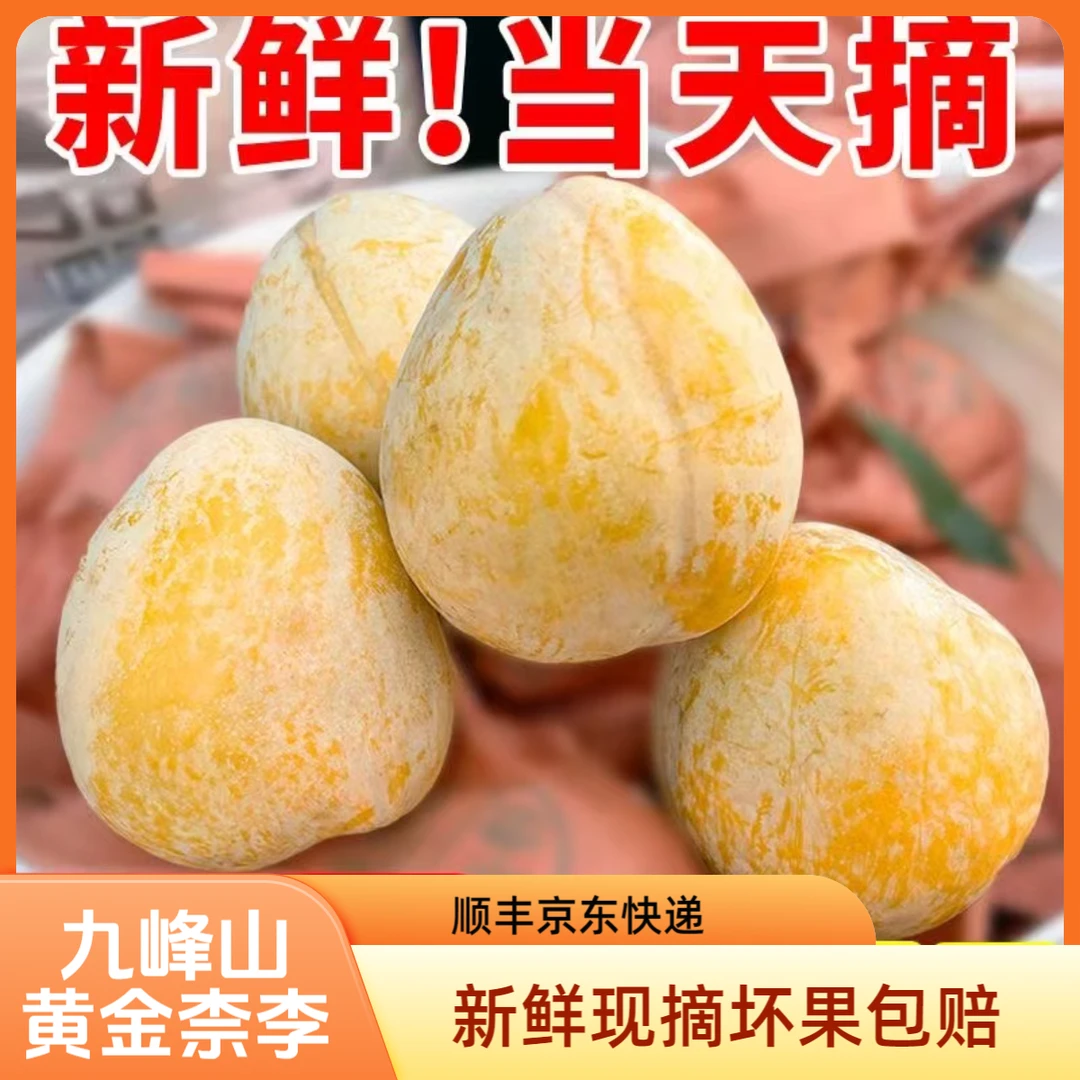 正宗乐昌九峰山黄金奈李脆甜多汁新鲜现摘恐龙蛋脆李子