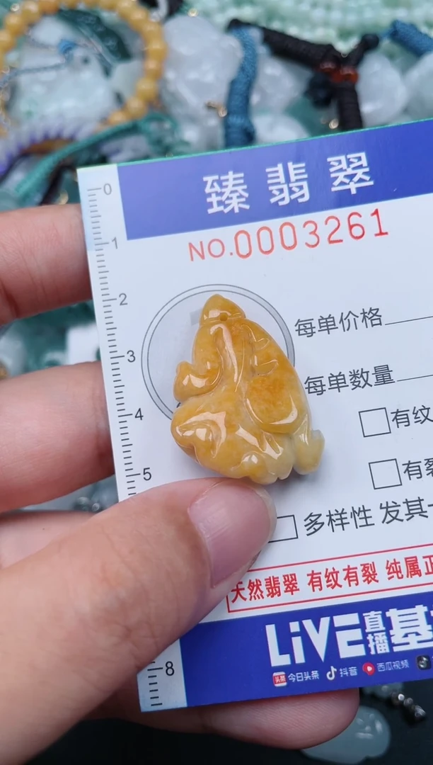 翡翠未镶嵌颈饰.0003261