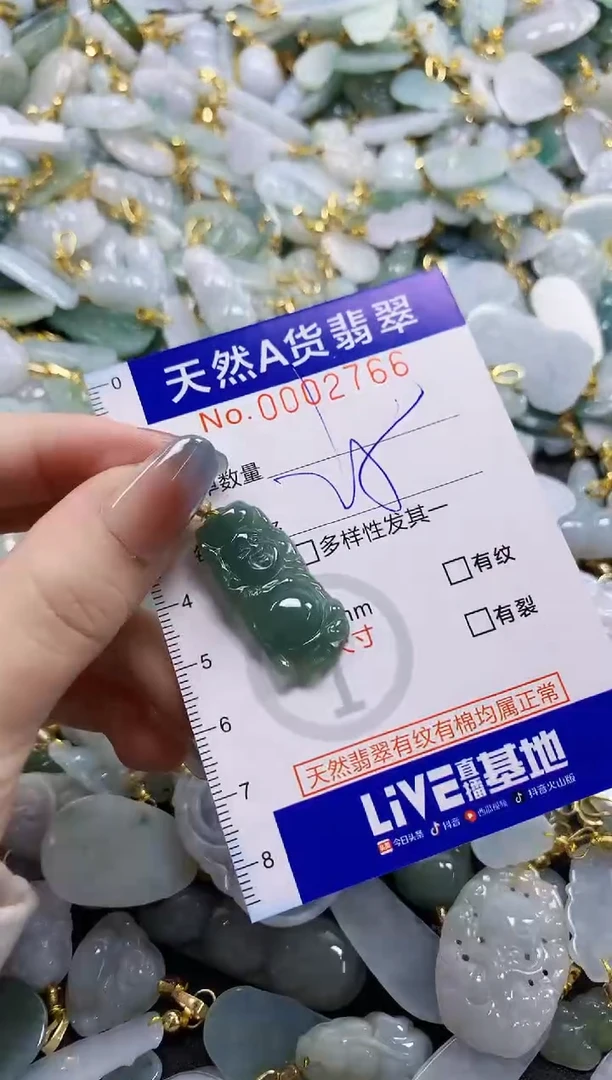 颈饰未镶嵌翡翠纯天然a货翡翠