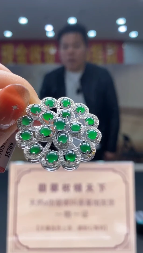 【闪购商品】翡翠颈饰未镶嵌********350