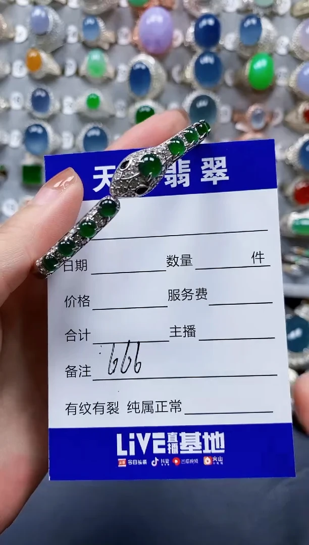 翡翠手镯银S925镶嵌0666