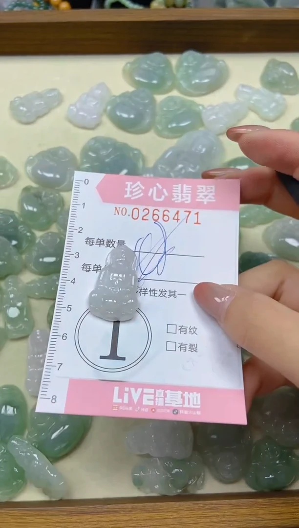 翡翠未镶嵌颈饰闪购0266471多样性发其一