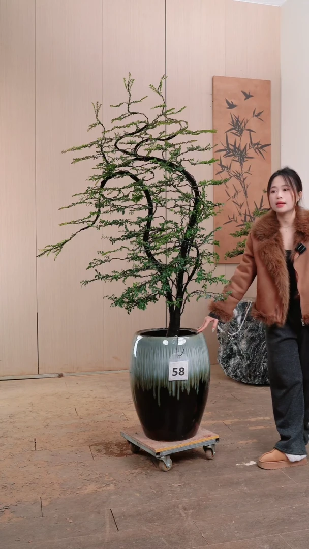 【闪购商品】58号链接