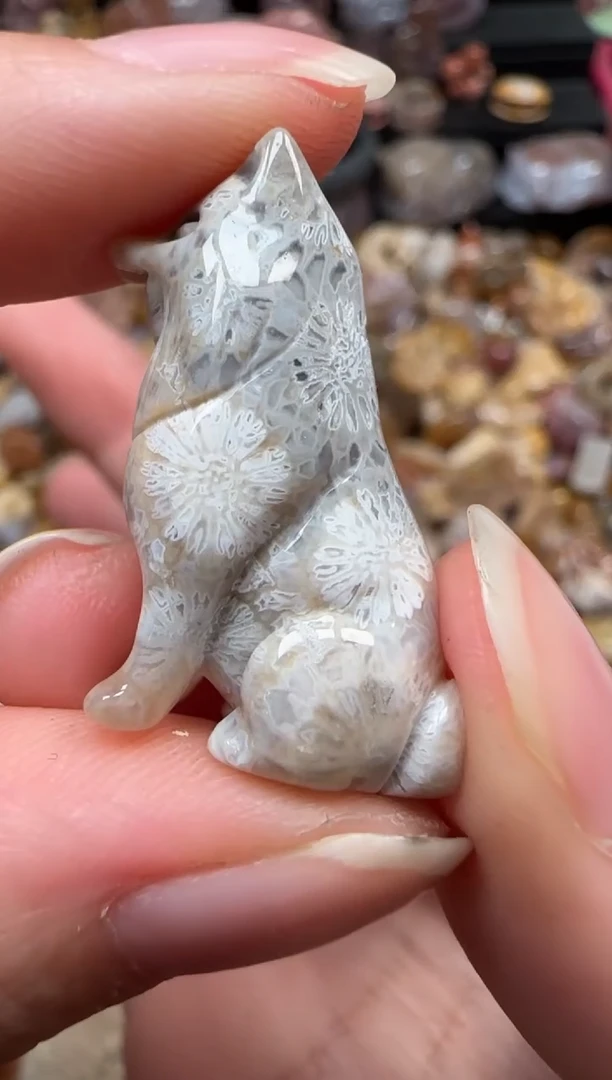 颈饰未镶嵌硅化珊瑚（珊瑚玉）664