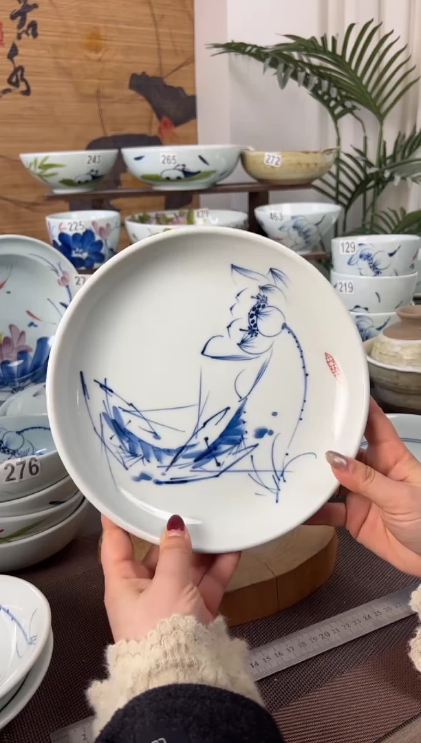 明舟中暇手绘9寸月光盘（随机图案单只装）