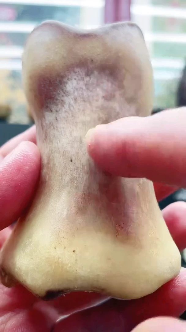 香榧木015原创木雕男女配饰