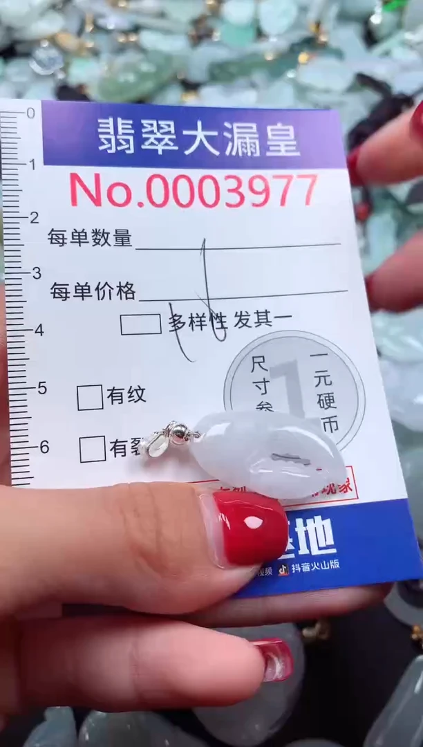 颈饰未镶嵌翡翠3977