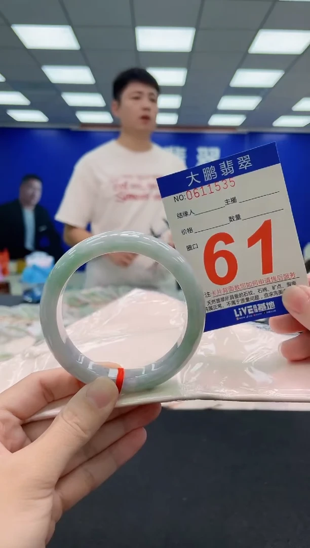 未镶嵌手镯翡翠AAAAAAAAA