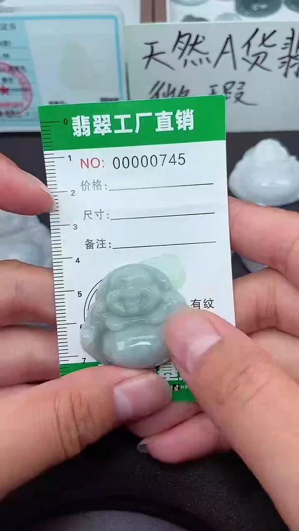 颈饰未镶嵌翡翠缅甸天然翡翠微微瑕0745