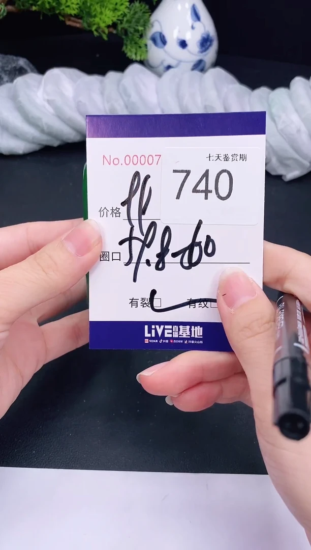 未镶嵌手镯翡翠740