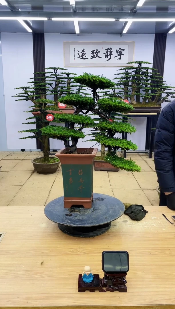 【闪购商品】000000000