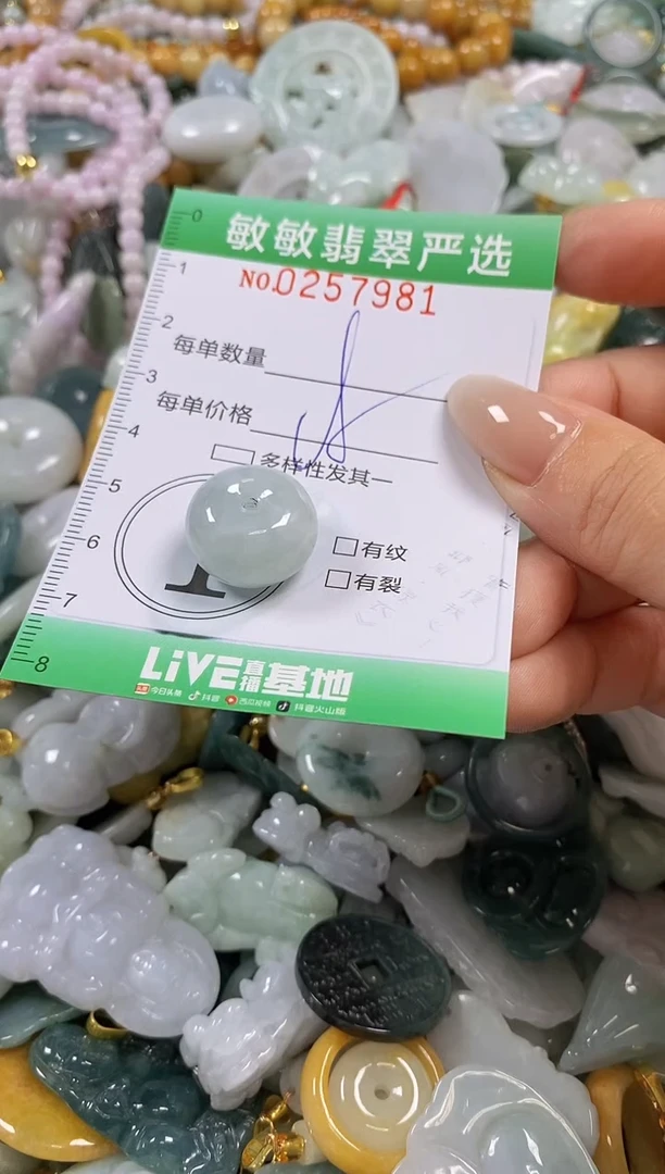 翡翠未镶嵌颈饰闪购0257981