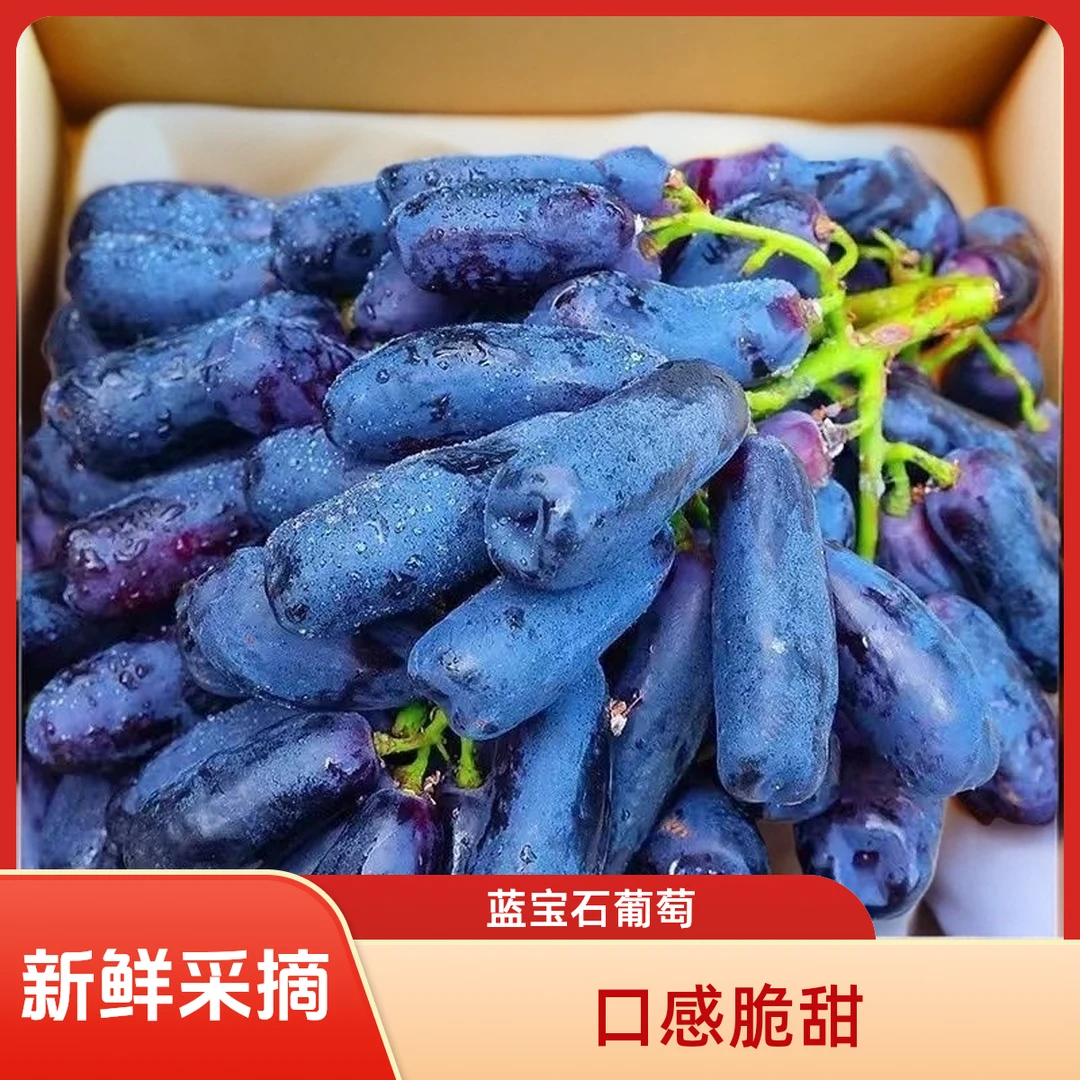 【葡萄双拼】阳光玫瑰拼蓝宝石葡萄云南大理宾川整箱新鲜宾川葡萄