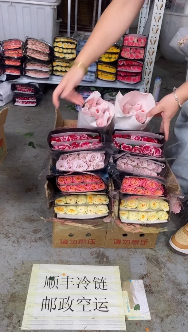 奶油杯10枝+朱小姐10枝+曼塔10枝+影星10枝+水瓶座10枝