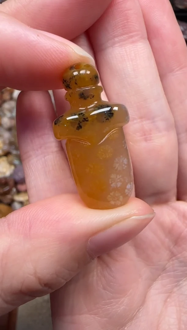 颈饰未镶嵌硅化珊瑚（珊瑚玉）384