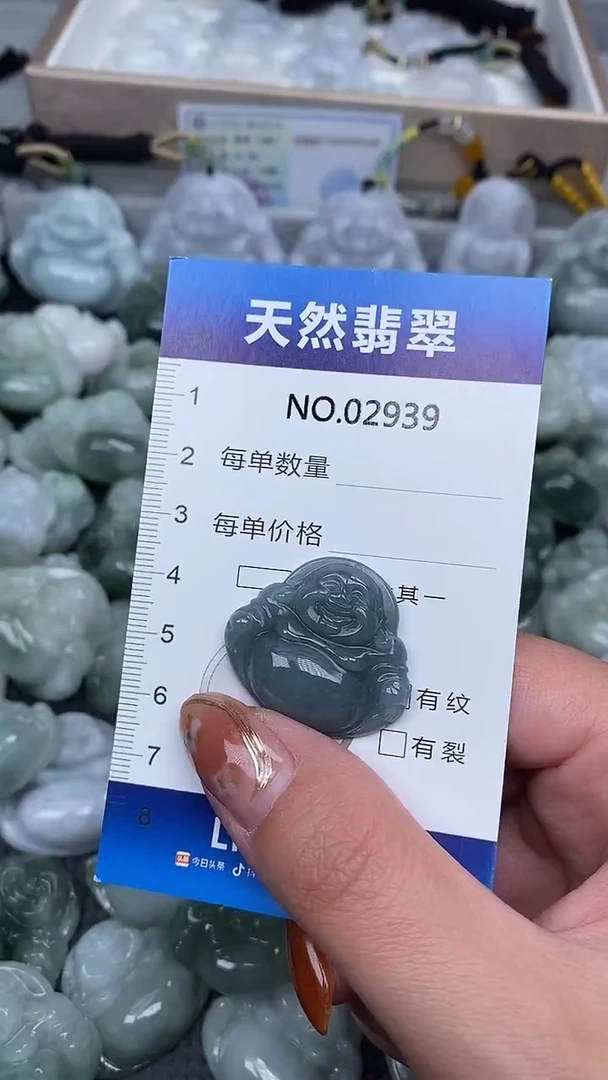 颈饰未镶嵌翡翠纯天然A货翡翠2939