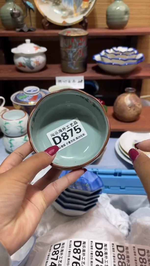 瓷片左*          D875