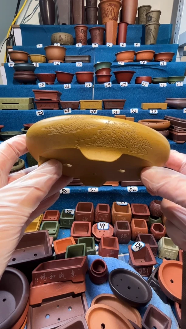 【闪购商品】紫砂紫砂花盆12*9*1.5