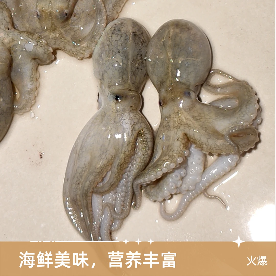 八爪章鱼  中等 500g