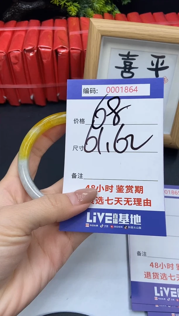 未镶嵌手镯翡翠0001864