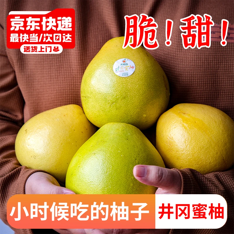 精品礼盒装江西井冈蜜柚金兰柚纯甜多汁青柚孕妇可食当季白柚直播