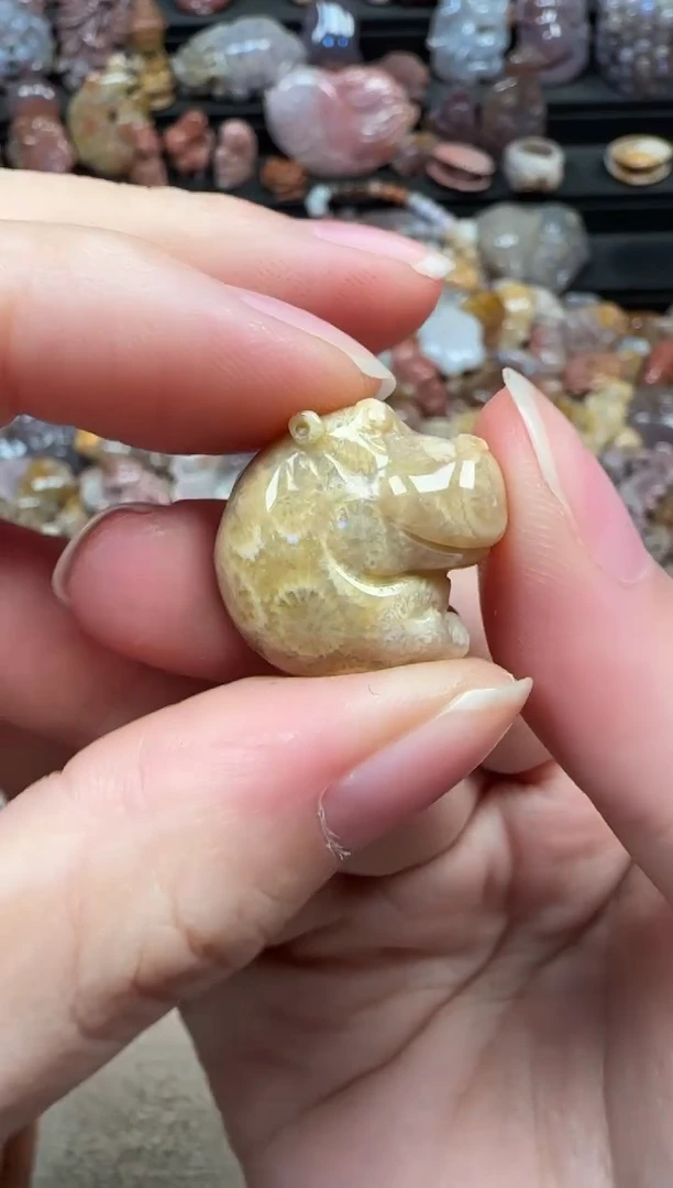 颈饰未镶嵌硅化珊瑚（珊瑚玉）686