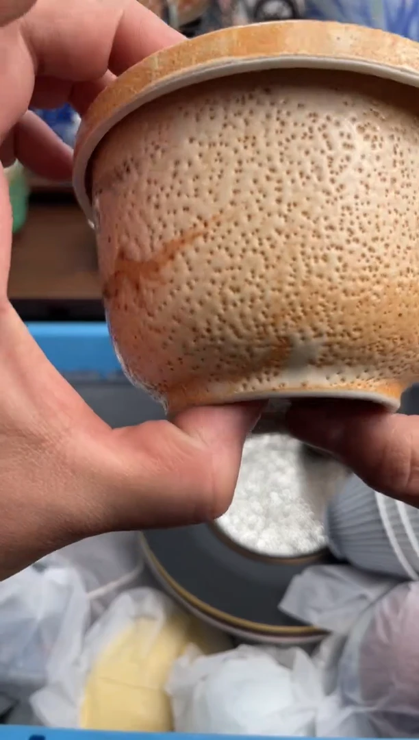 【闪购商品】瓷片009-T满20包邮-48h凑单