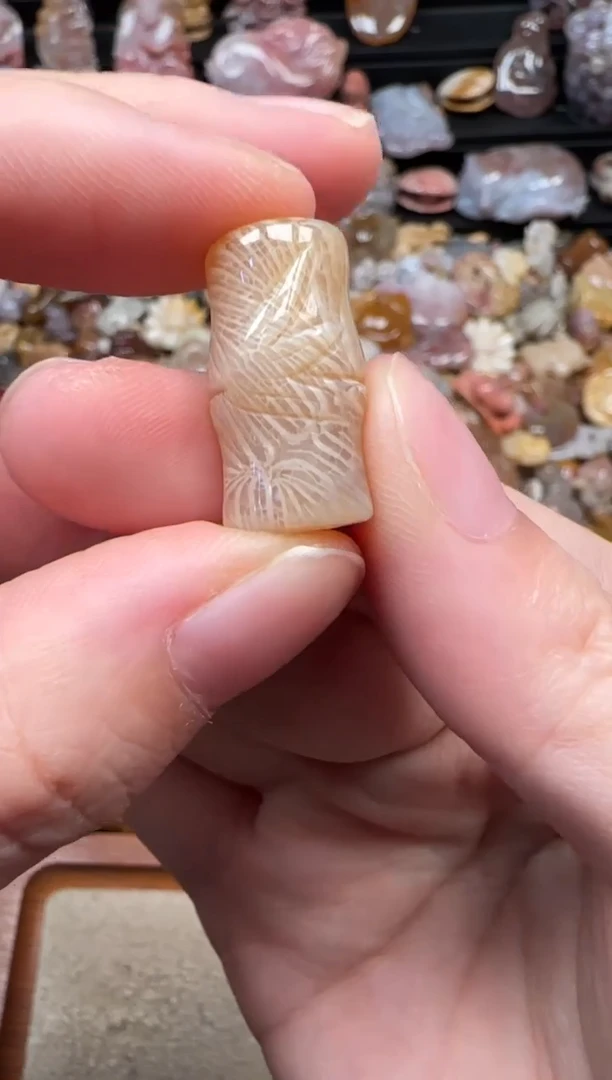 颈饰未镶嵌硅化珊瑚（珊瑚玉）461