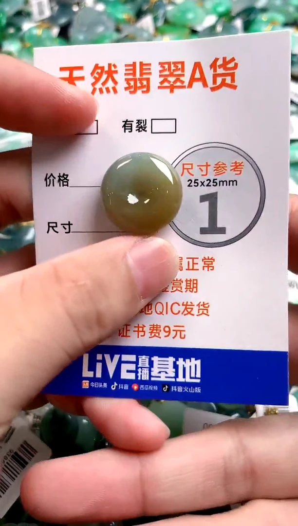 颈饰18K金镶嵌翡翠14006224