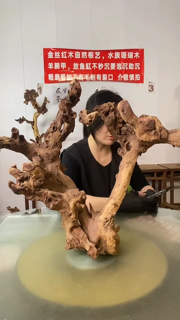 木往*哥金丝红木 羊蹄甲