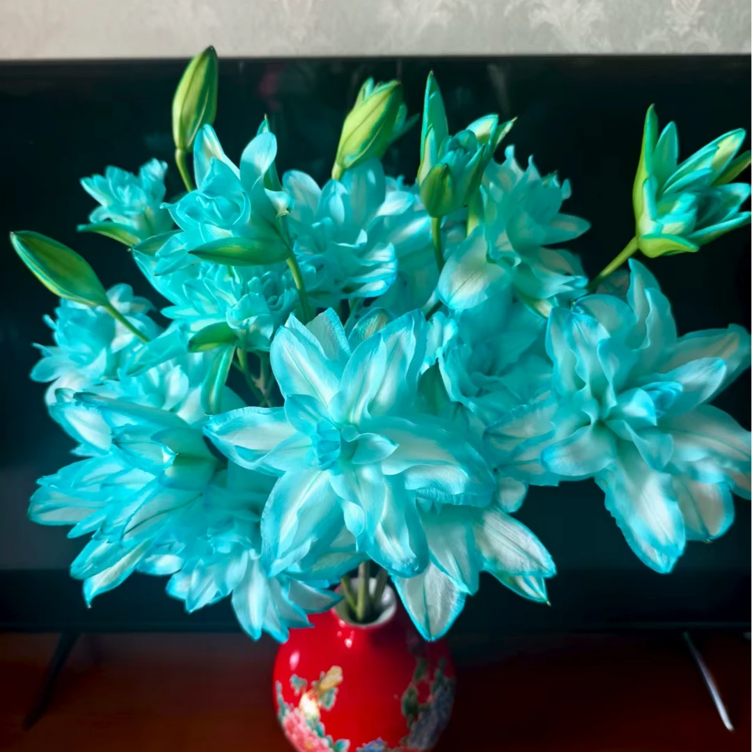 【阿荼】星空 吸色 重瓣 两单顺丰冷链，一单普通快递