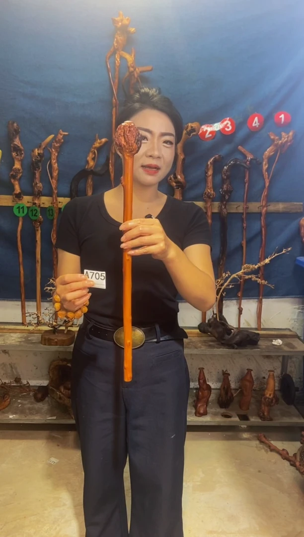 黑果木用****1黑果木A705