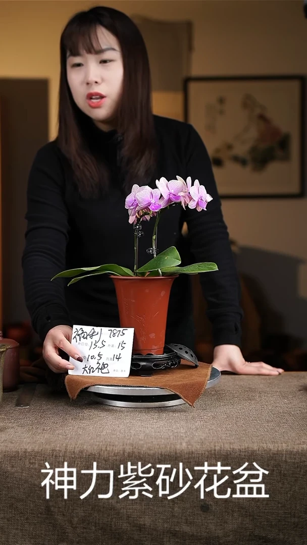 【闪购商品】紫砂花盆紫砂花盆7875