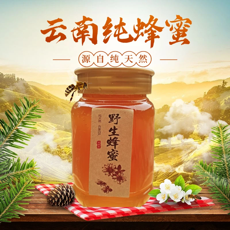 正宗保山龙陵蜂蜜大自然农家自产采蜜500g/瓶
