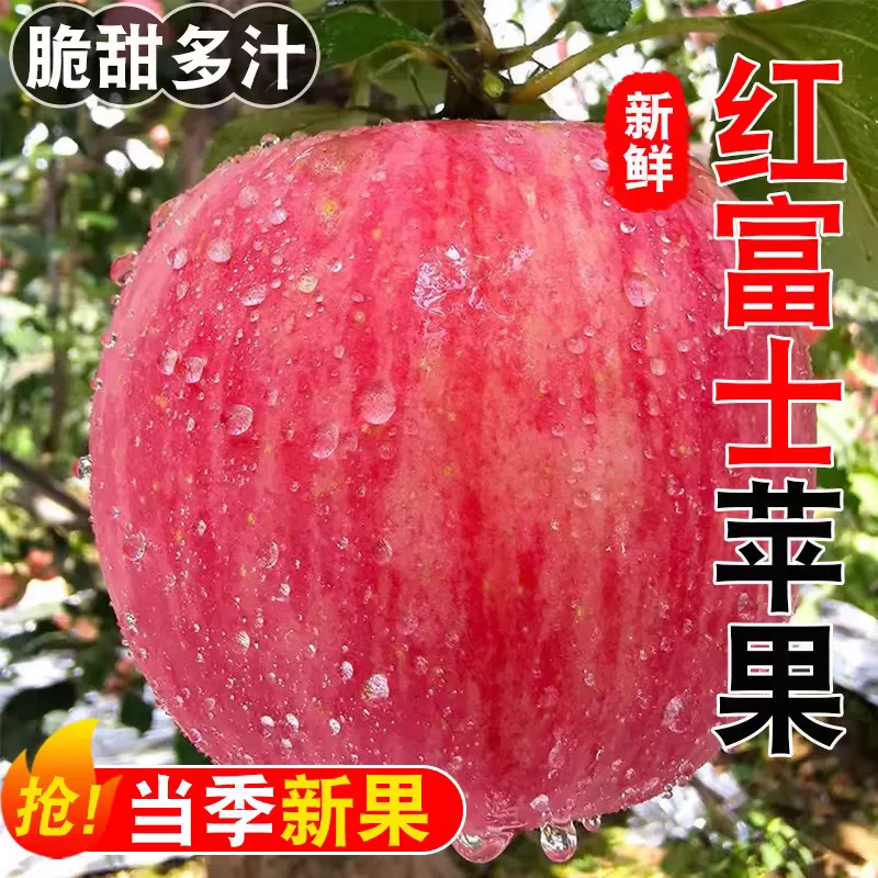【拍5斤送5斤】正宗红富士苹果到手带箱10斤脆甜多汁