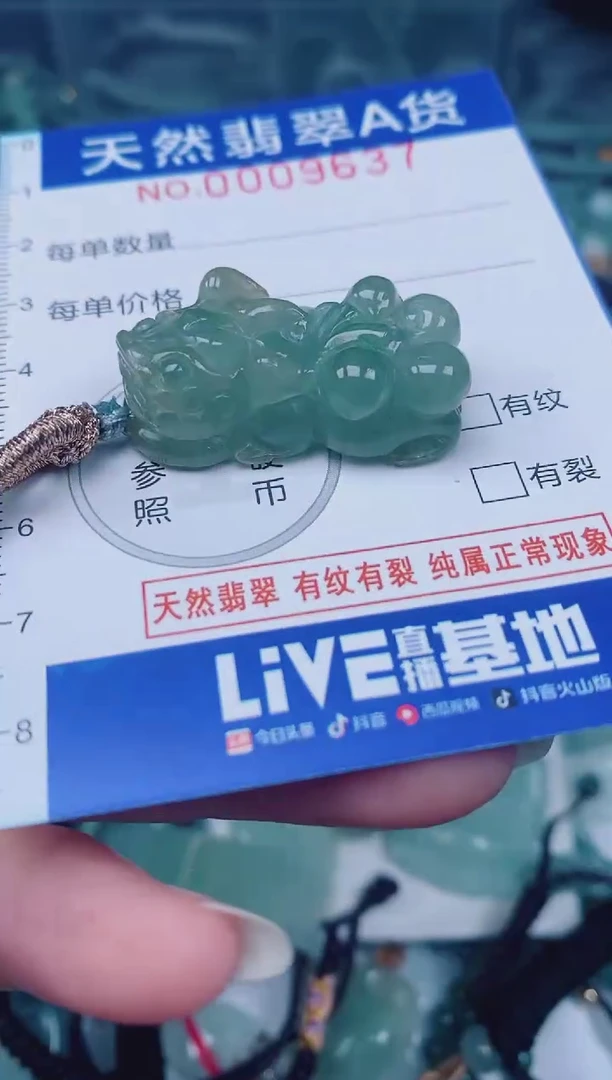 颈饰未镶嵌翡翠00009637