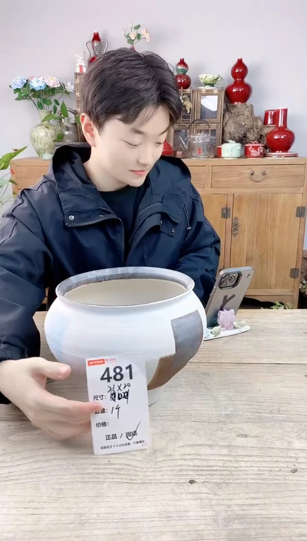 晴好园艺直播编号481