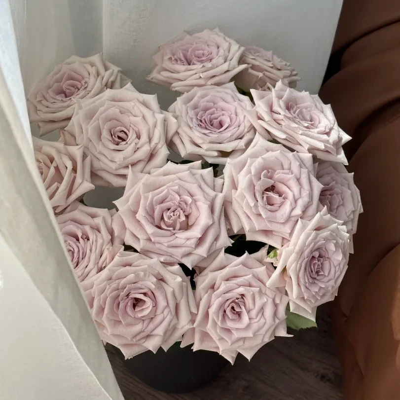 曼塔玫瑰20支【全店任意2件顺丰京东冷链包邮】云南鲜花