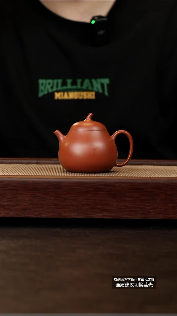 茶壶紫砂原矿小煤窑朱泥茄瓜