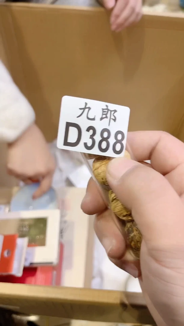 午**猫388午睡的猫午睡的猫午睡的猫