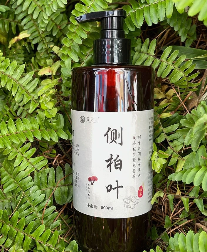 侧柏叶洗发水植物养发生姜控油侧柏叶萃取发膜养护