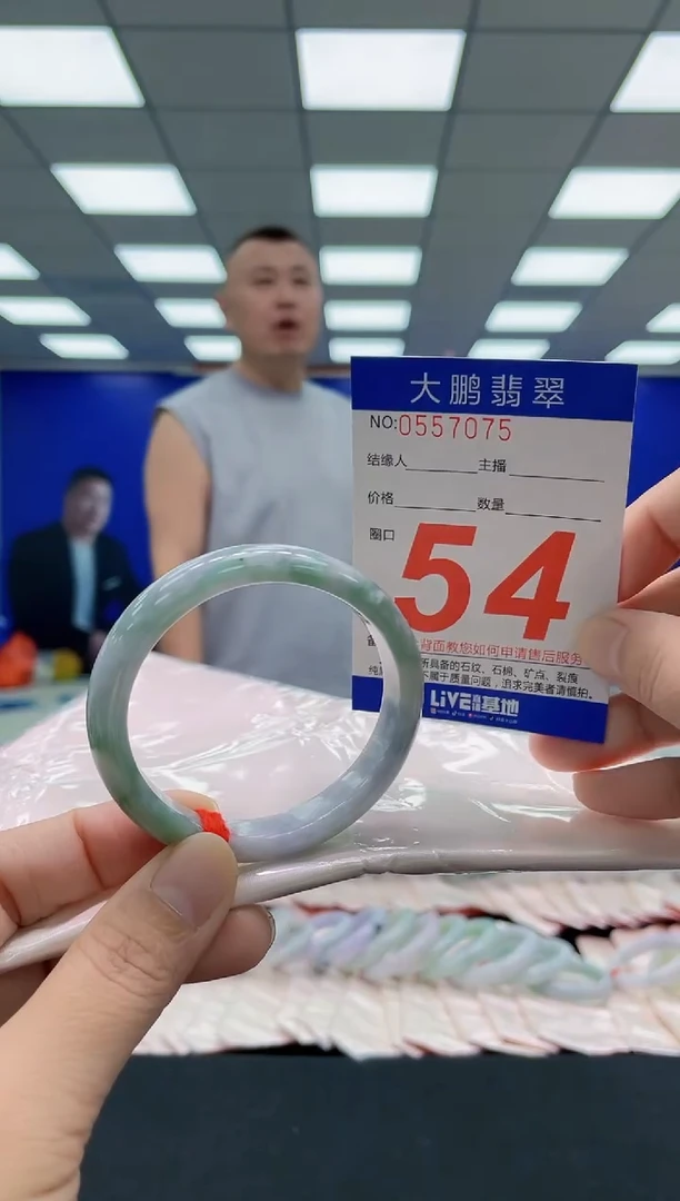 未镶嵌手镯翡翠AAAAAAAAA