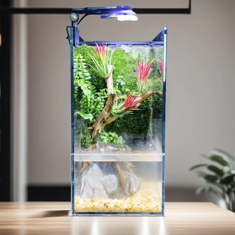 【鸿运当头】流水雾化加湿创意桌面苔藓微景观盆景生态造景鱼缸礼物