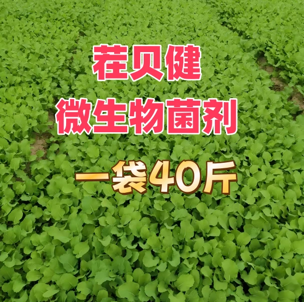 【40斤茬贝健】微生物菌剂改良土壤