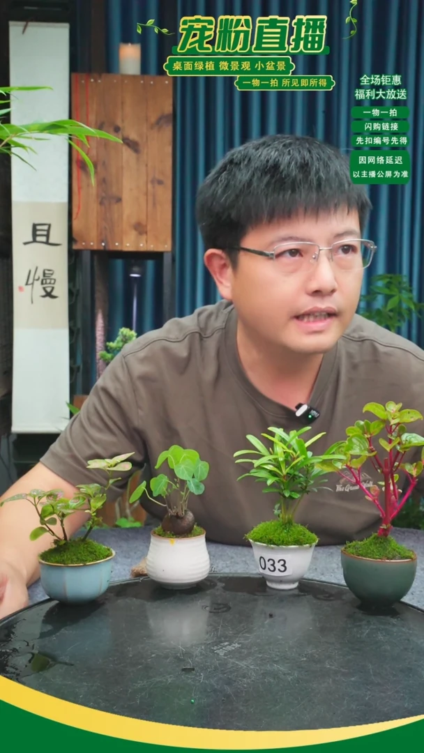 无花朵?*゛苔藓微景观033号