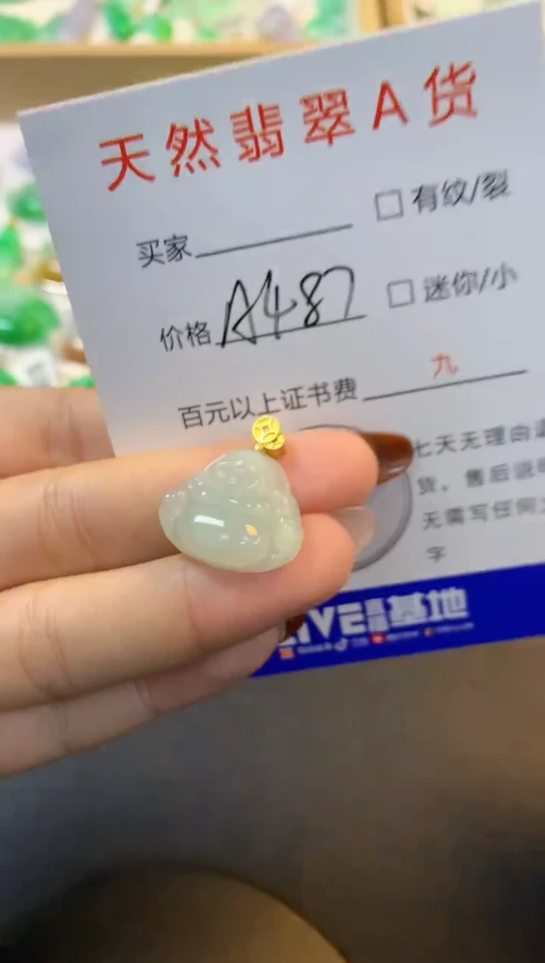 颈饰未镶嵌翡翠11111111111