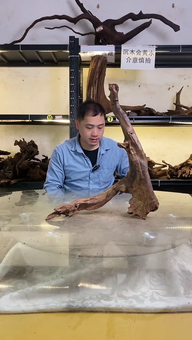 【闪购商品】柚木木艺鱼缸造景沉木981