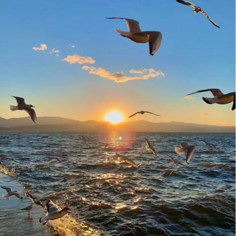 【18号编码】2025秀场重工短袖-80893