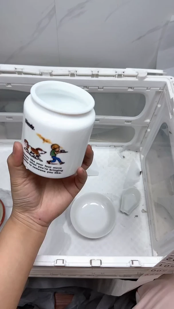 【闪购商品】1499回流瓷器默认微瑕，18.8包邮
