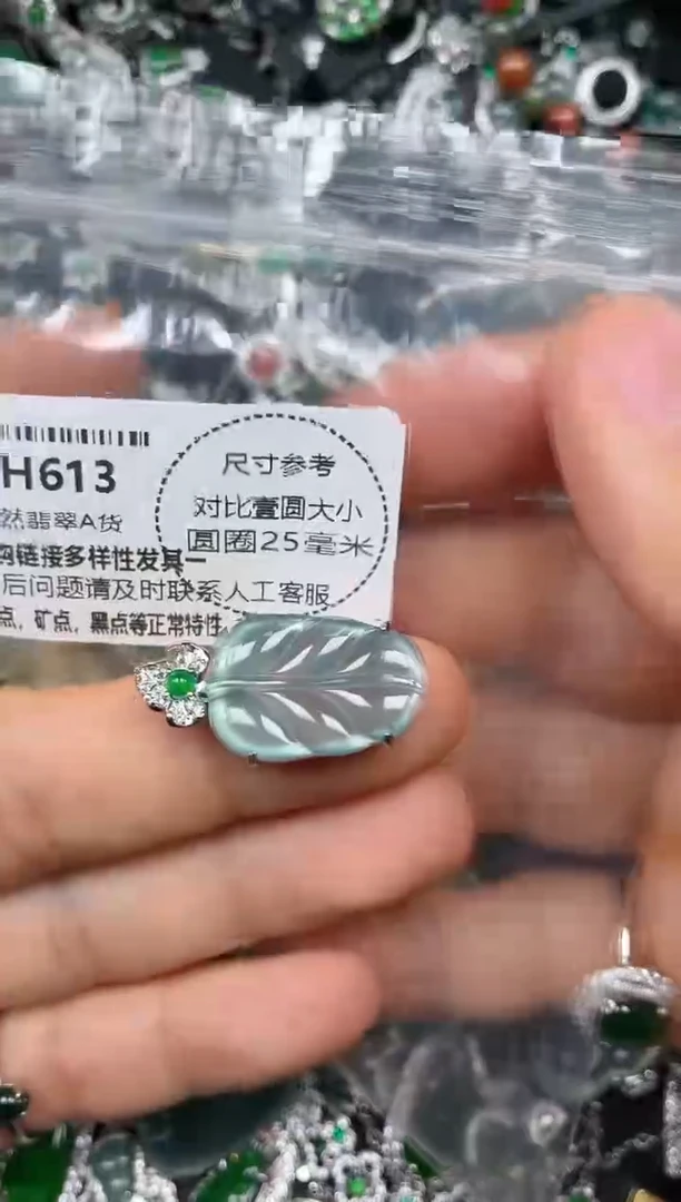 颈饰未镶嵌翡翠H613吊坠